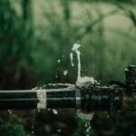 Cieknąca rura nawadniająca wśród gęstej, zielonej roślinności