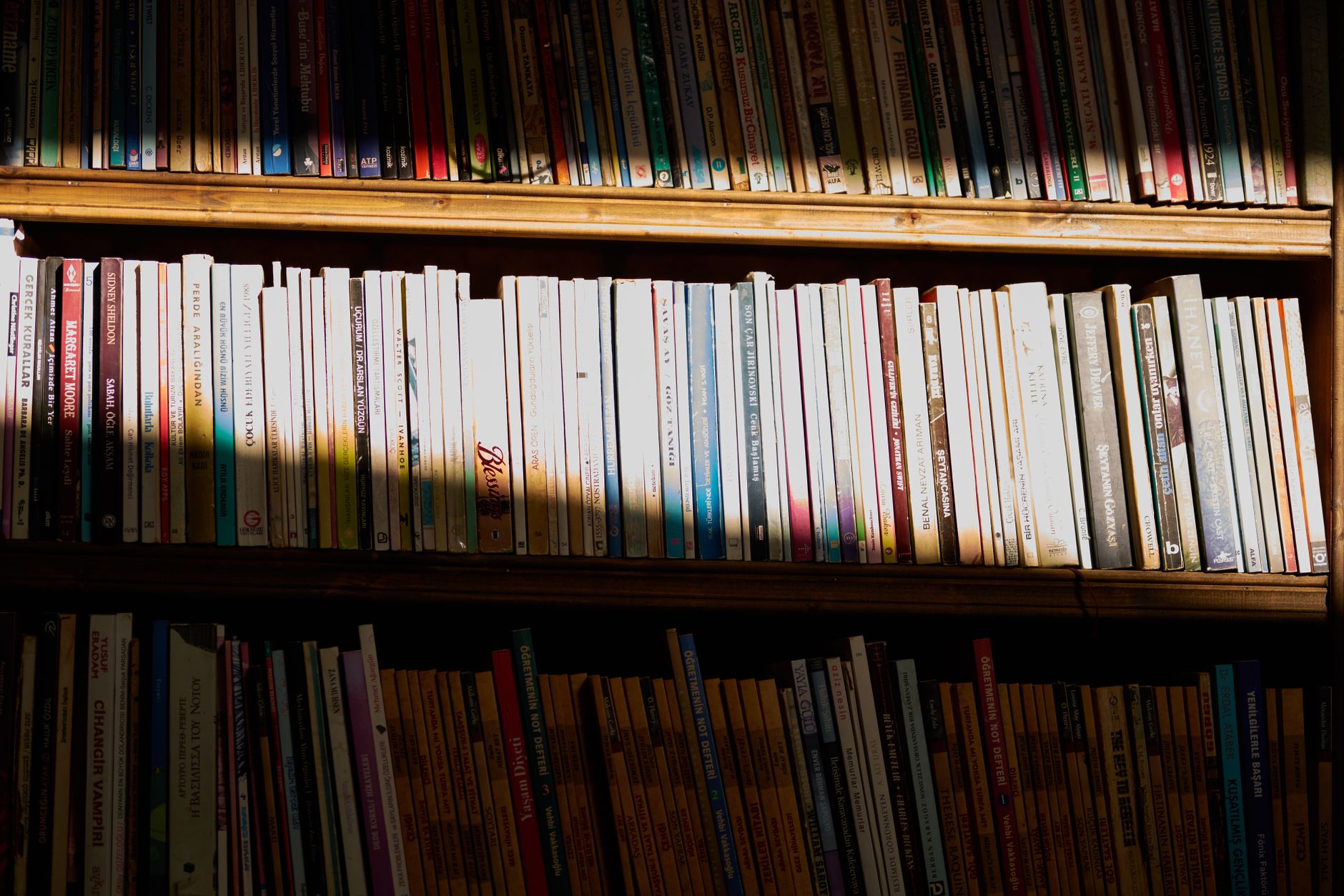Półka biblioteczna w słońcu z rzędami książek, idealna sceneria kryminałów